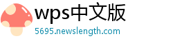 wps中文版